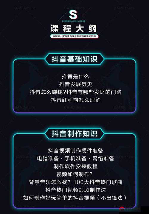 抖音有效粉怎么快速增加，掌握这些秘籍，让你的粉丝数飙升